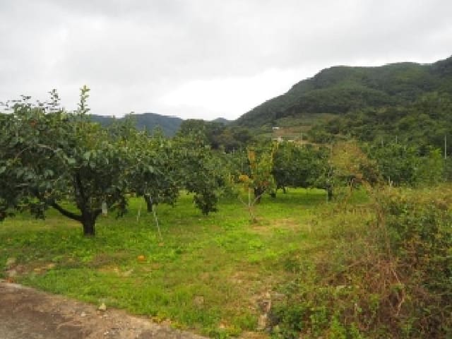 B000423202501300105231.jpg