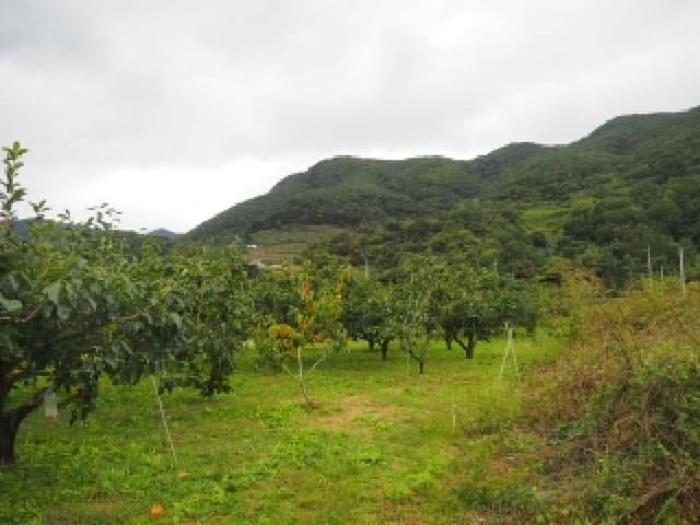B000423202501300105232.jpg