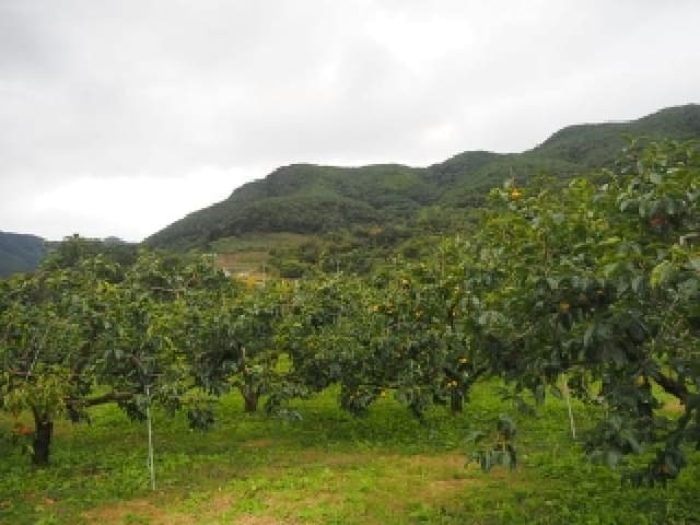 B000423202501300105233.jpg
