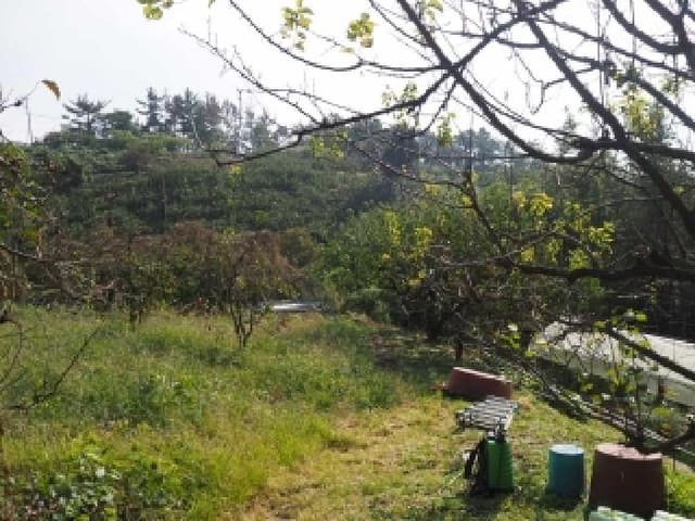 B000423202501300105403.jpg