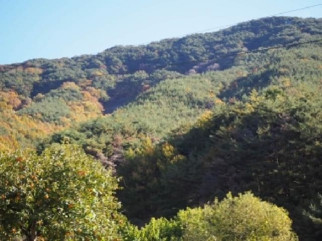 B000423202501300105491.jpg
