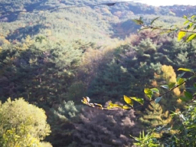 B000423202501300105492.jpg
