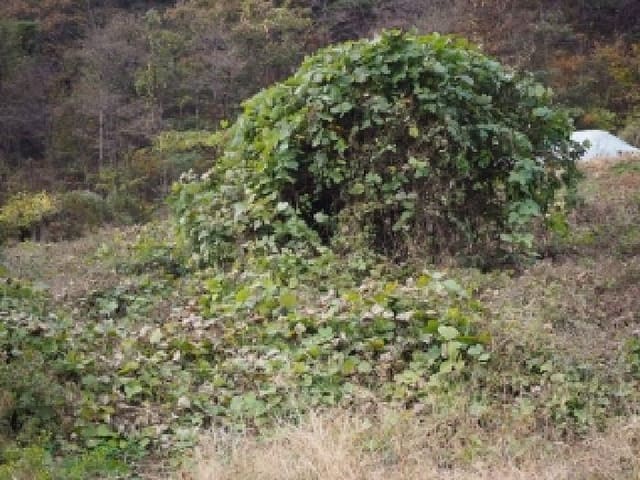 B000423202501300105581.jpg