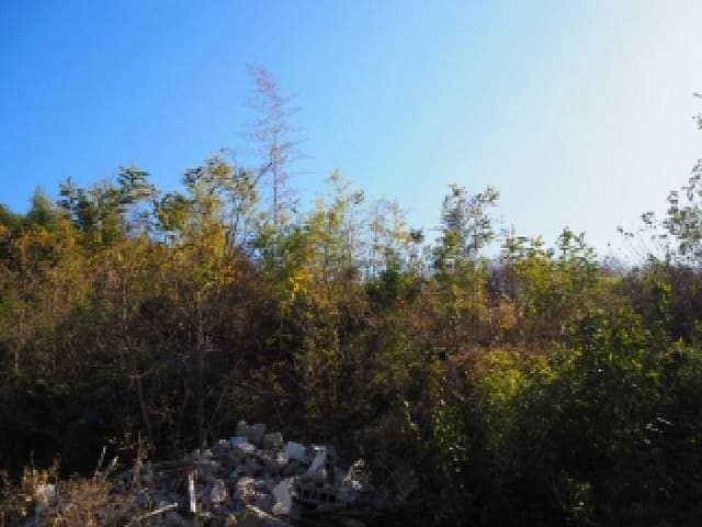 B000423202501300105613.jpg