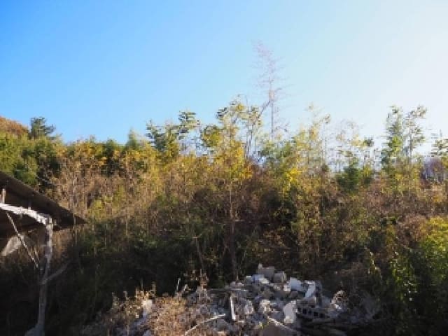 B000423202501300105612.jpg