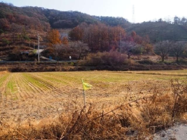 B000423202501300105731.jpg