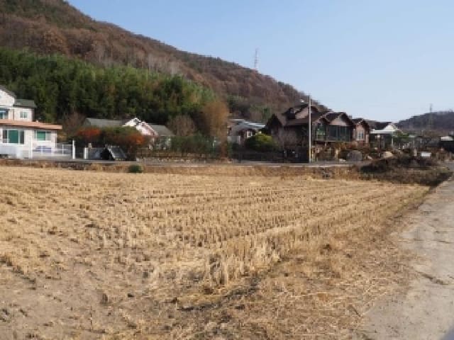 B000423202501300105823.jpg