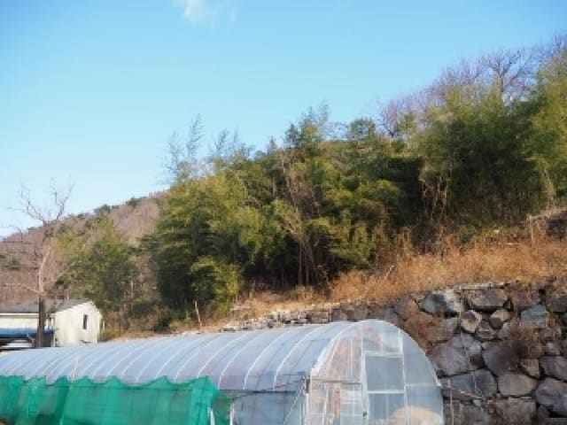 B000423202501300105972.jpg