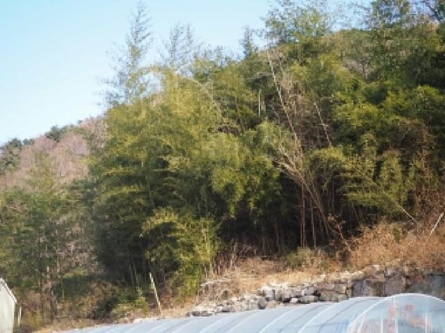 B000423202501300105973.jpg