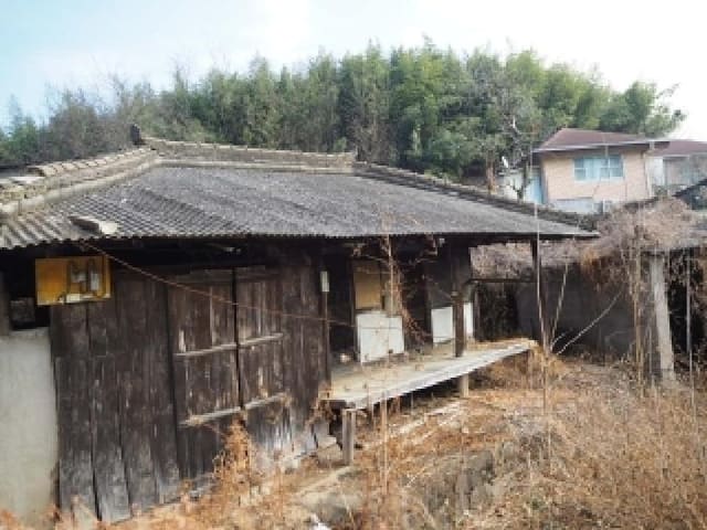 B000423202501300106004.jpg
