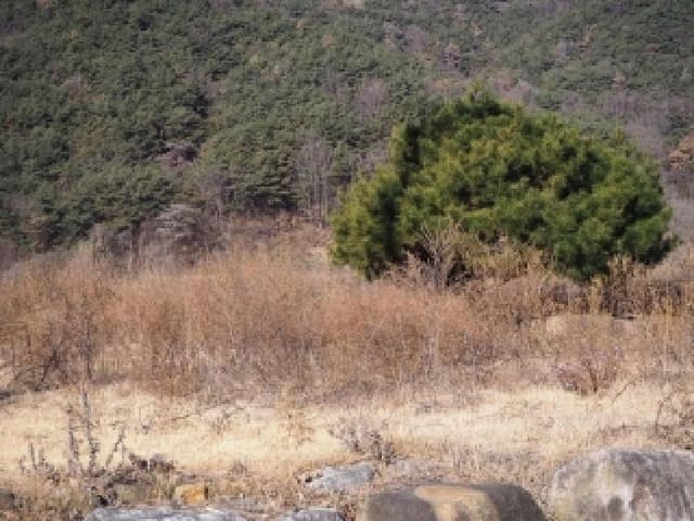 B000423202501300106184.jpg