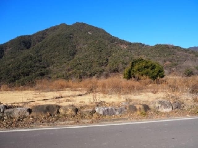 B000423202501300106181.jpg