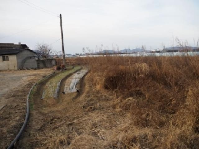 B000423202601300000253.jpg