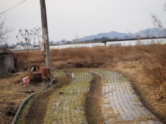 B000423202601300000254.jpg