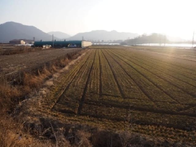 B000423202601300001243.jpg