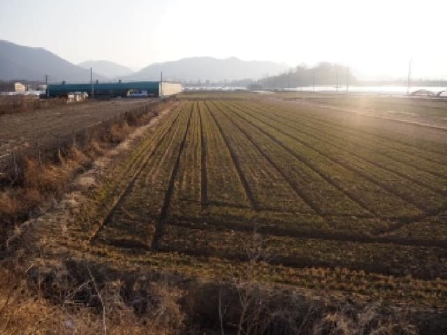 B000423202601300001241.jpg