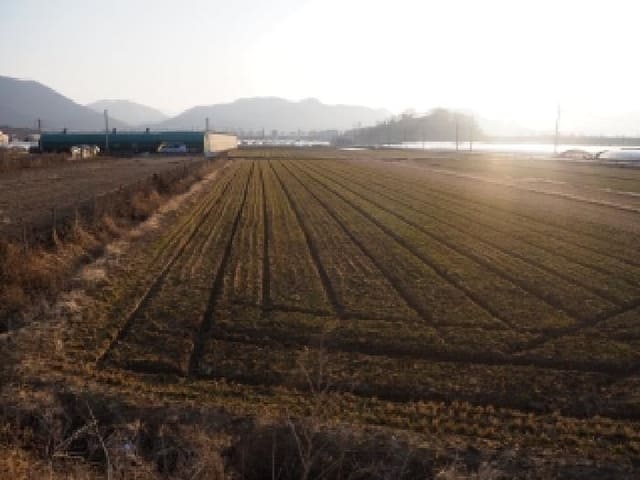 B000423202601300001242.jpg
