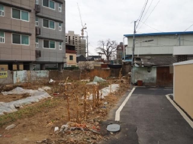 B000423202601300001932.jpg