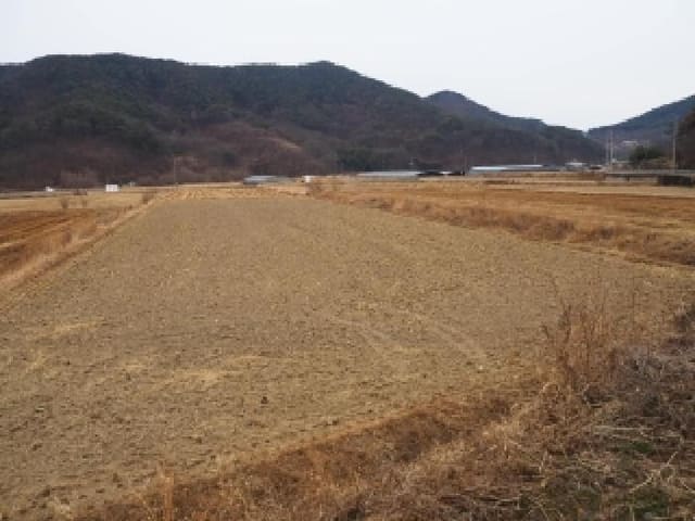 B000423202601300002091.jpg