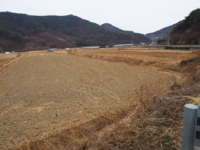 B000423202601300002092.jpg
