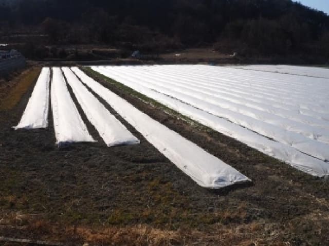 B000423202601300002301.jpg