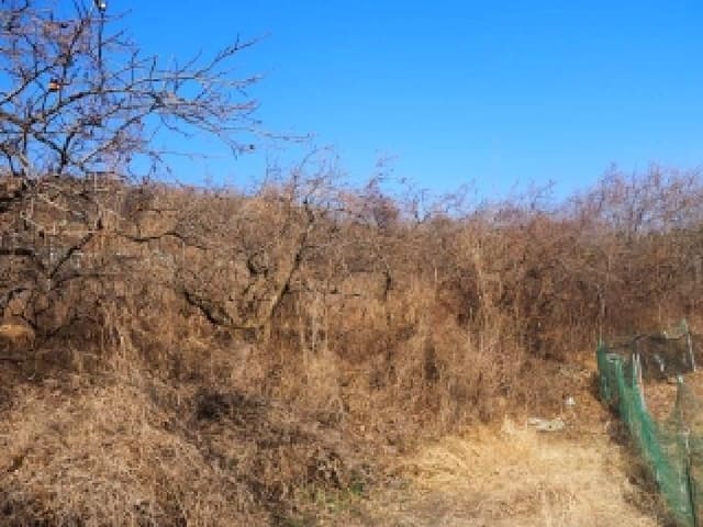 B000423202601300100014.jpg