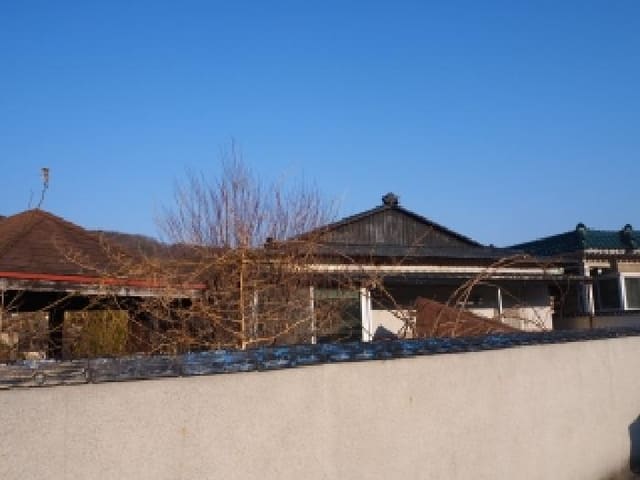 B000423202601300100374.jpg