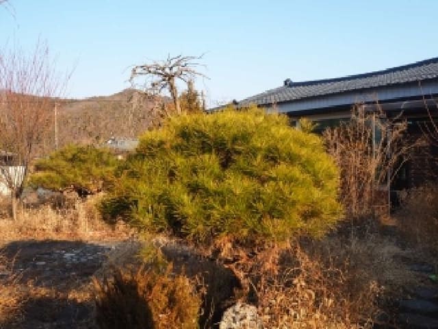 B000423202601300100372.jpg