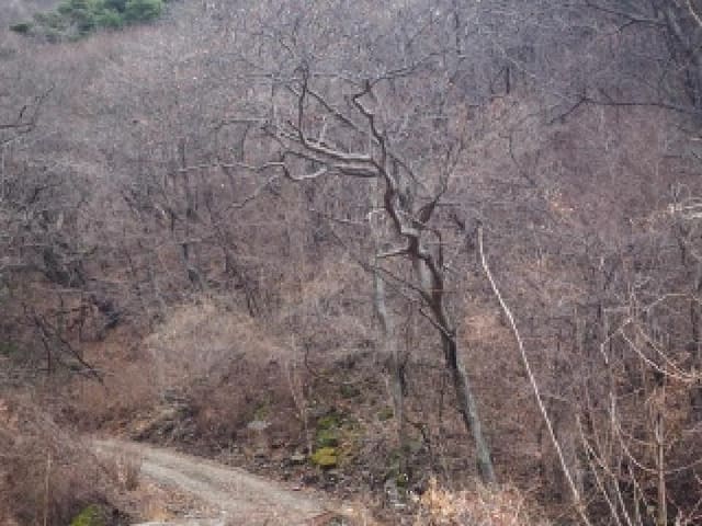B000423202601300100453.jpg