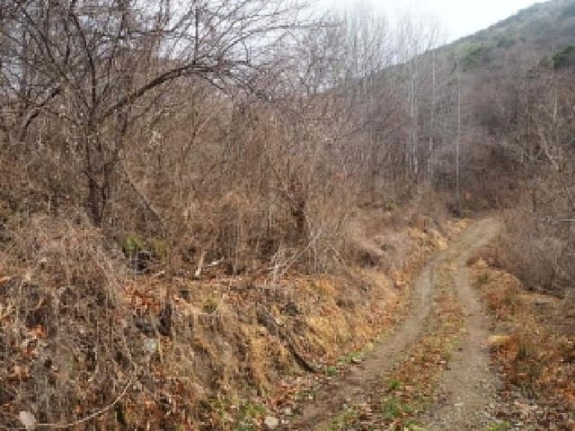 B000423202601300100452.jpg