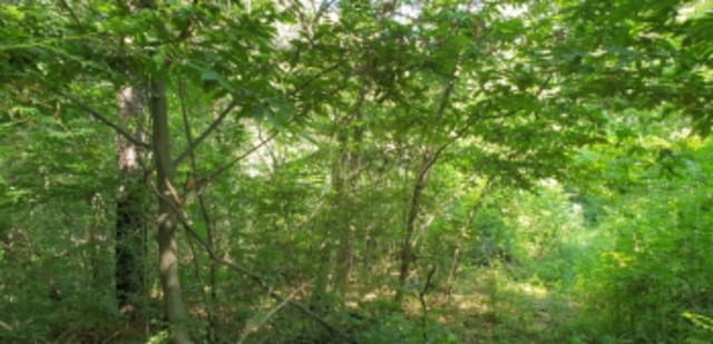 B000424202401300006014.jpg