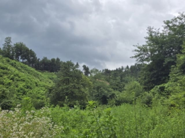 B000424202401300008091.jpg