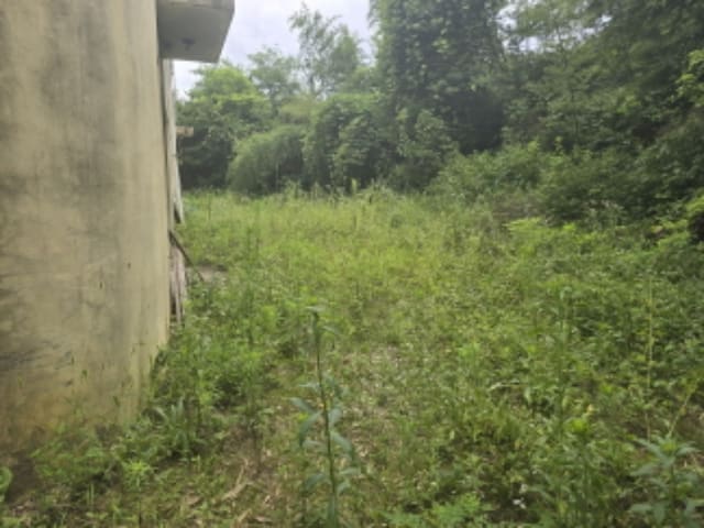 B000424202401300008232.jpg