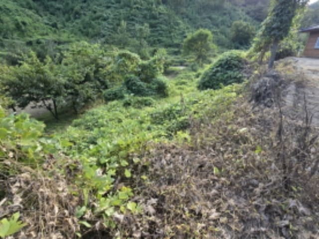 B000424202401300118851.jpg