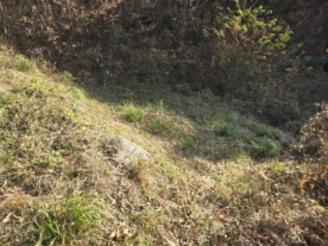 B000424202401300123143.jpg
