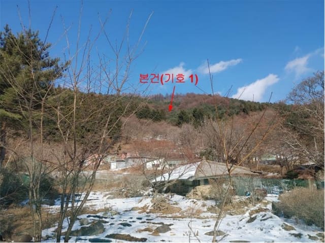 B000424202401300126283.jpg