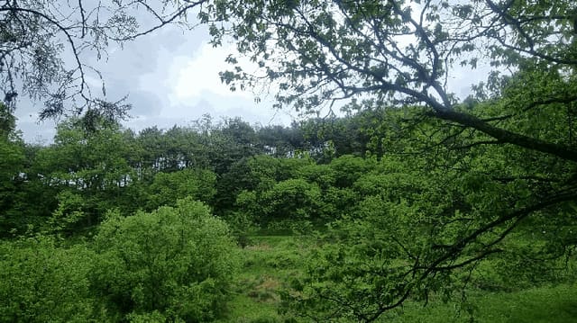 B000424202501300004243.jpg