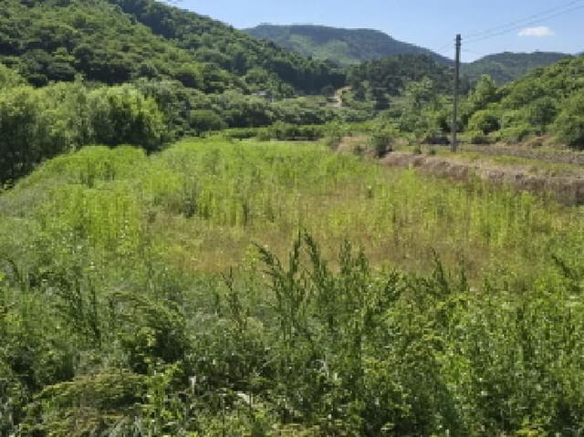 B000424202501300005303.jpg