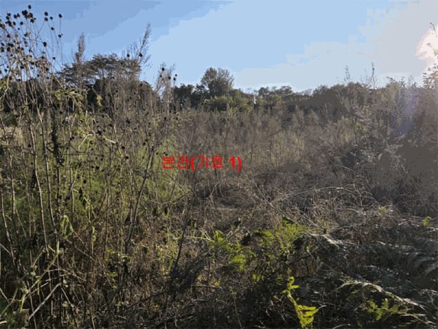 B000424202501300005816.jpg
