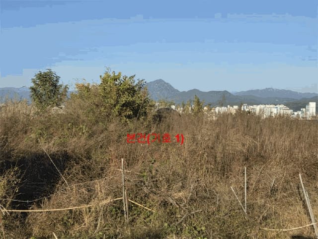 B000424202501300005814.jpg