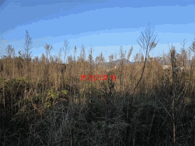 B000424202501300005815.jpg