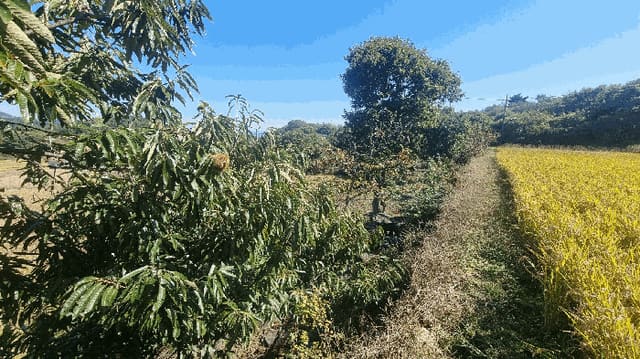 B000424202501300005853.jpg