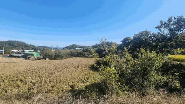B000424202501300005852.jpg