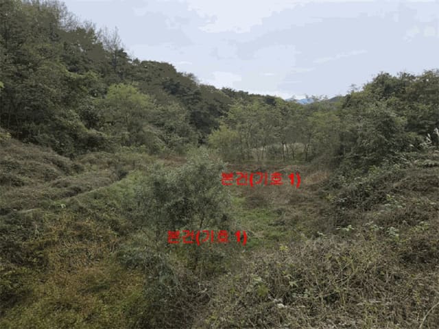 B000424202501300005913.jpg