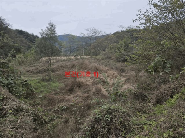 B000424202501300005914.jpg