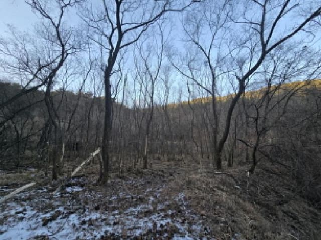 B000424202501300101483.jpg