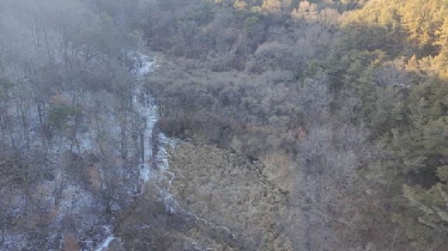 B000424202501300101482.jpg