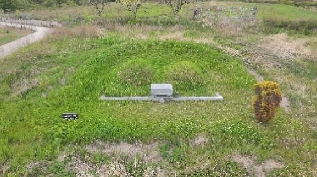 B000424202501300102082.jpg
