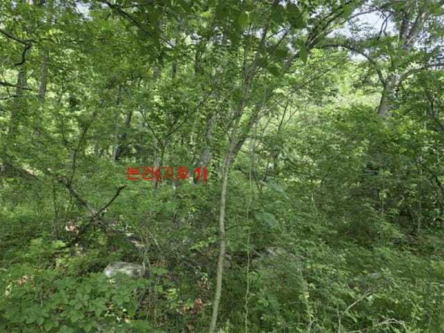 B000424202501300102244.jpg