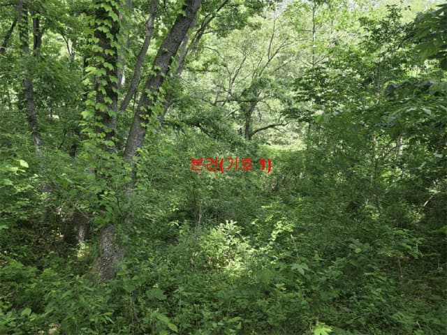 B000424202501300102245.jpg